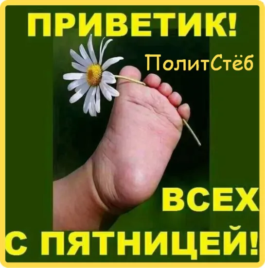 #ПолитСтёб СМЕШНЫЕ ЖИВОТНЫЕ