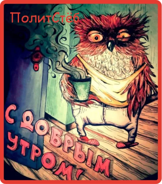 #ПолитСтёб СМЕШНЫЕ ЖИВОТНЫЕ