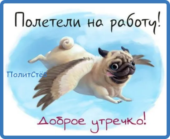 #ПолитСтёб ЛУЧШИЕ ПРИКОЛЫ