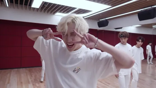 [190704] Stray Kids - Side Effects » Dance Practice (9 ver.)