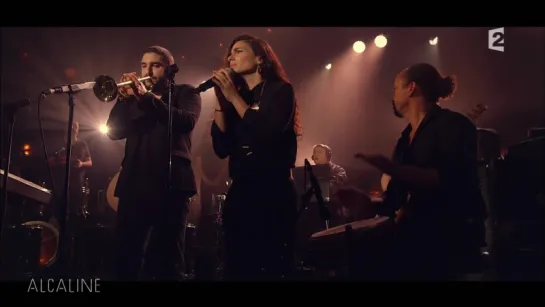 Ibrahim Maalouf 2015 Alcaline - Le Concert