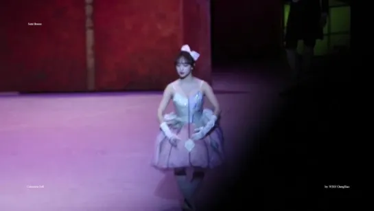 [Fancam] 171223 Ballet  Swan Club @ Cheng Xiao