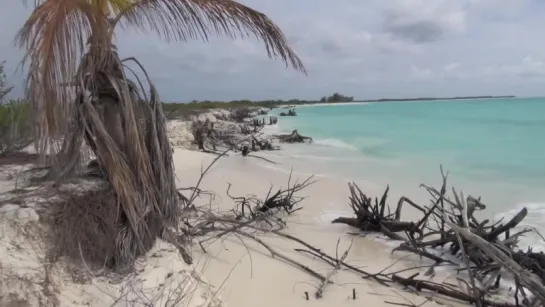 Кайо Ларго, Куба / Cayo Largo, Cuba