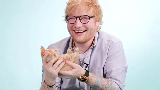 Ed Sheeran Plays With Kittens While Answering Fan Questions [RUS SUB]