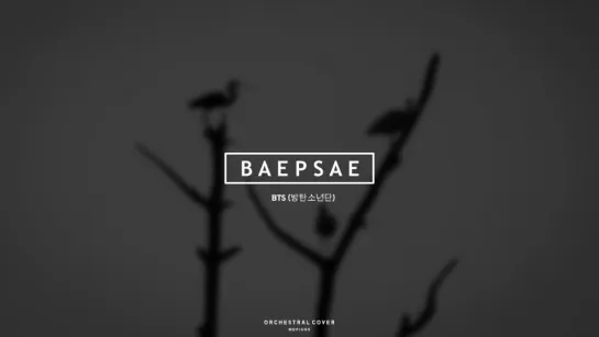 BTS (방탄소년단) Baepsae 뱁새 Orchestral Cover