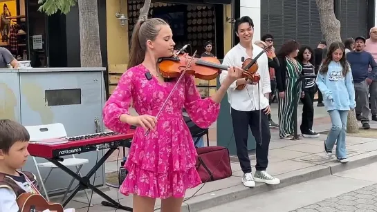 My Heart Will Go On - Céline Dion - From Titanic / Karolina Protsenko - Violin Cover