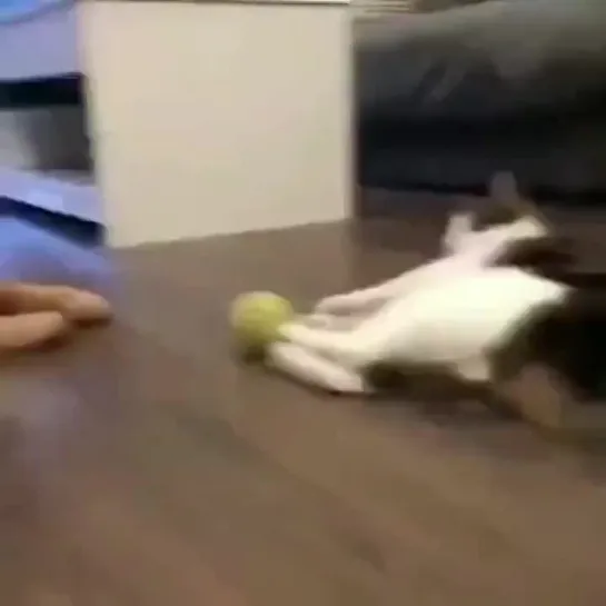 The ball is mine..