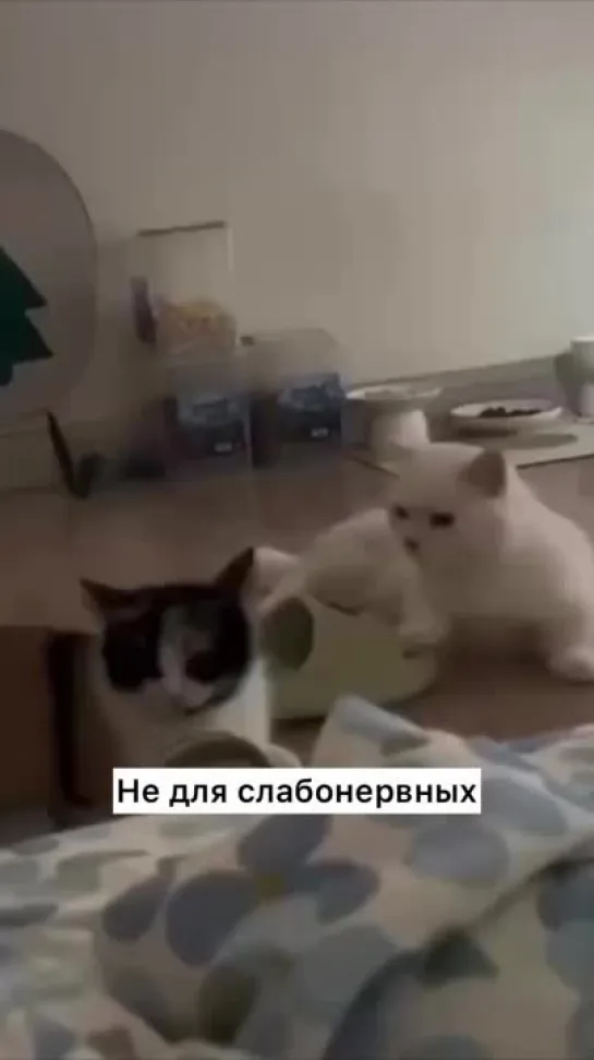 Не для слабонервных