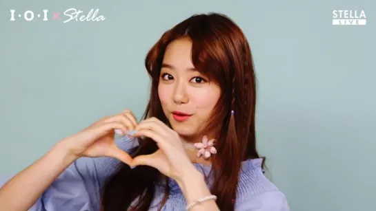 sohye cf stella