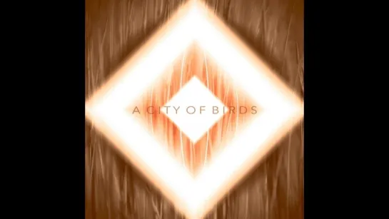 A CITY OF BIRDS - Ambitions