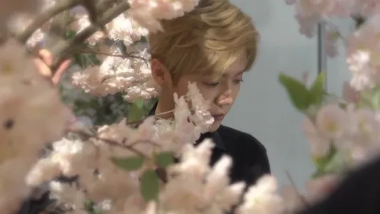 170523 LuHan @ LOccitane en Provence Behind the Scenes\Making