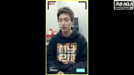 [ROSAS RUS SUB] SEVENTEEN (세븐틴) - DK(도겸) Diary 2