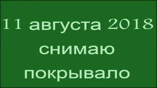 Снятие   покрывала  - Александра Барвицкая