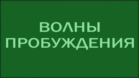 ВОЛНА ПРОБУЖДЕНИЯ ЧЕЛОВЕЧЕСТВА ПЕРЕД ПЕРЕХОДОМ В ЖИЗНЬ И БЕЗСМЕРТИЕ