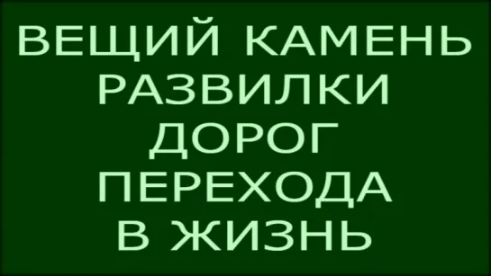 ВЕЩИЙ КАМЕНЬ - ВЫБОРЫ МИРА НА ПЕРЕХОДЕ (Кто ты Пчела или Муха Выбери сво путь)