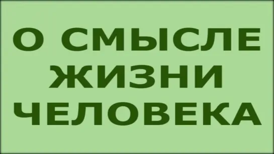 В чем смысл жизни человека (ответы на вопросы)