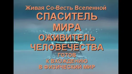 СПАСИТЕЛЬ МИРА - ОЖИВИТЕЛЬ ЧЕЛОВЕЧЕСТВА И ВСЕЛЕННОЙ (Александра Барвицкая-Женьше