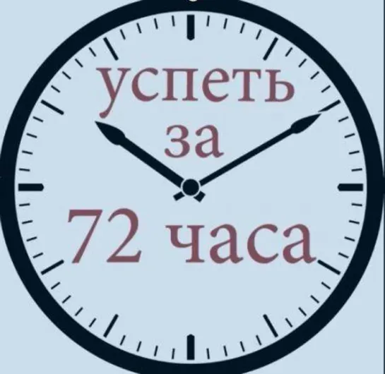 Вот и доигрались. Обратный отсчёт 72 часа🕓🕗Ирина Пелихова