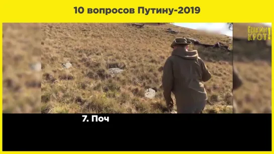 10 вопросов Путину-2019