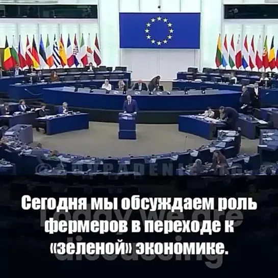 Только богатые смогут питаться нормальными продуктами, а бедные будут кушать тараканов