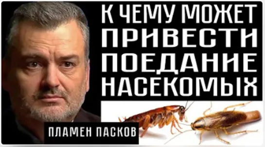 К ЧЕМУ МОЖЕТ ПРИВЕСТИ ПОЕДАНИЕ НАСЕКОМЫХ?