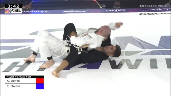 Tainan Dalpra - armbar submission #бжж_какпоучебнику #f2win