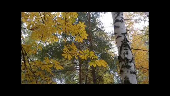 Александр Блок.  Пляски осени