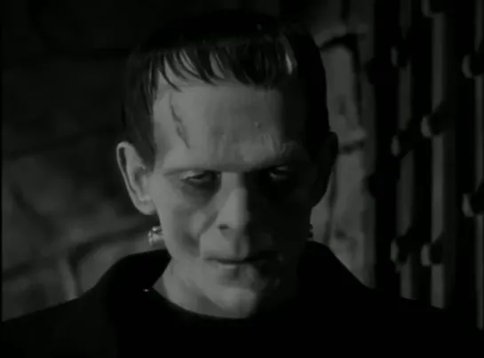 El doctor Frankenstein (Frankenstein, 1931) James Whale [Frankenstein, el autor del monstruo]