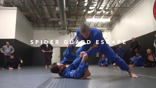 Sensei Anthony (CVBJJ) - Spider Guard Pass