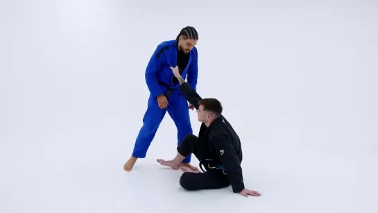 Renato Canuto - Counter The Guard Pull With Flying Armbar