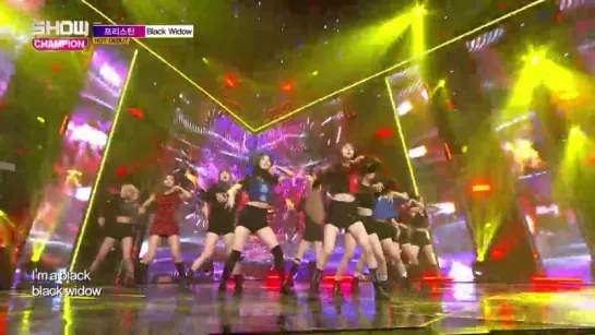 [Perf] 17.03.29 PRISTIN (프리스틴) - Black Widow @ Show Champion