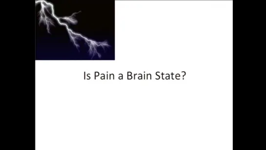 8. The Nature of Mind - John Campbell