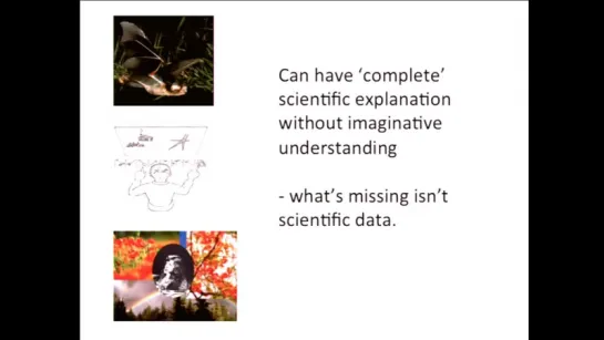 15. The Nature of Mind - John Campbell