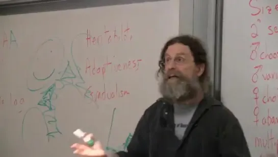 Prof. Robert Sapolsky / 3 - Behavioral Evolution II