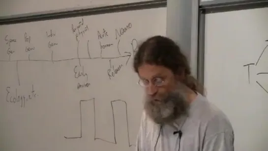 Prof. Robert Sapolsky / 16 - Human Sexual Behavior II