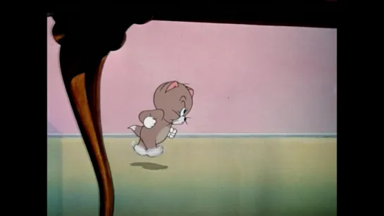 Tom and Jerry - Professor Tom [EP37] [1948]