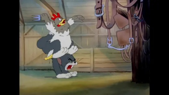 Tom and Jerry - Fine Feathered Friend [EP08] [1942]