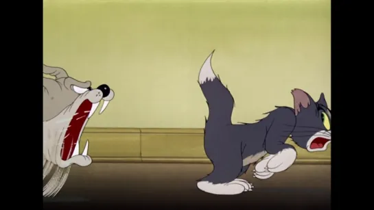 Tom and Jerry - Dog Trouble [EP05] [1942]