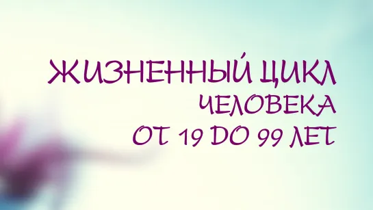 PT208 Rus 14. Совместный поиск решения. Жизненный цикл человека от 19 до 99 лет