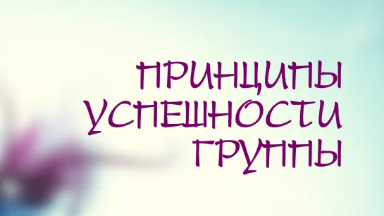 PT208 Rus 19. Душепопечительство в групповой работе. Принципы успешности группы