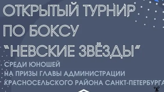 Открытый турнир по боксу «Невские звезды» | День 2