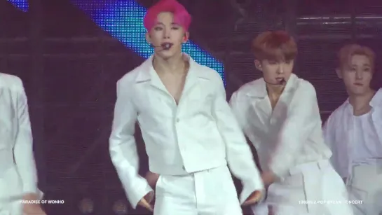 [VK][190223] MONSTA X fancam - Alligator (Wonho focus) @ Z-POP DREAM LIVE Concert