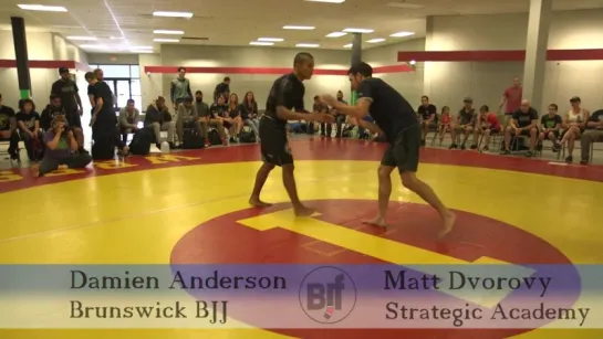 Daniel Anderson vs Matt Dvrory #бжж_какпоучебнику #bjf_grappling