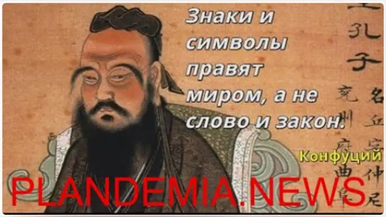 Арбузное дело Для чего им это нужно!!_ Беседа на канале Злой эколог