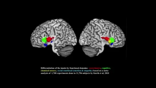 Uniquely-Human Features of the Brain (3) CARTA