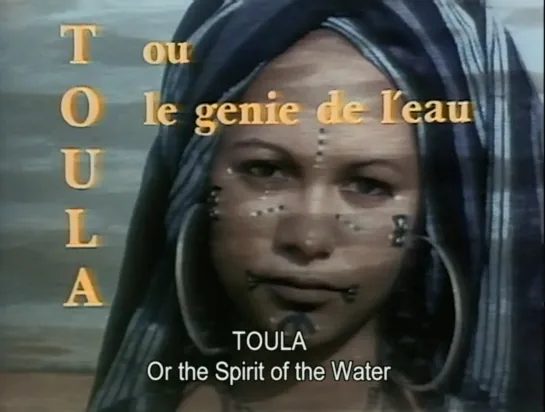 Toula ou Le génie des eaux (Niger, 2017) dir. Moustapha Alassane, Anna Soehring