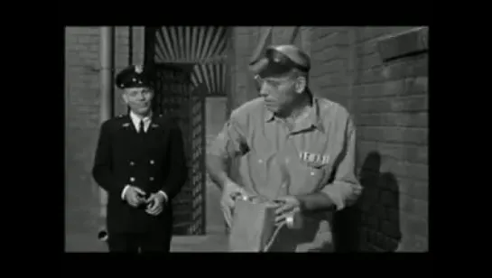 Любитель птиц из Алькатраса / Birdman Of Alcatraz (1962)