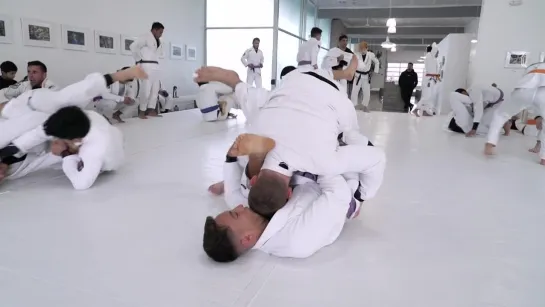 Cole Abate Rolls In The Gi With Purple Belt At AOJ