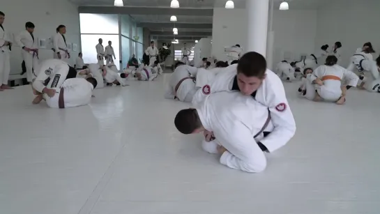 Tainan Dalpra Spars With Brown Belt At AOJ