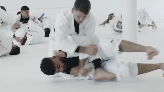 RAFAEL MENDES SPARRING BROWN BELT